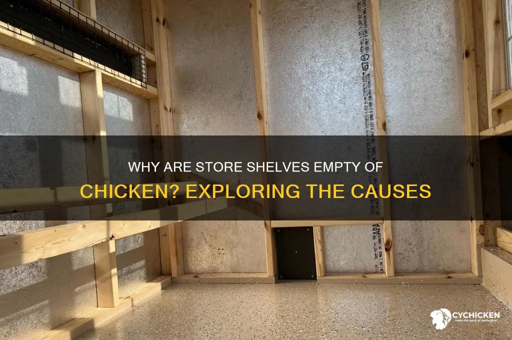 why is there no chicken at the store