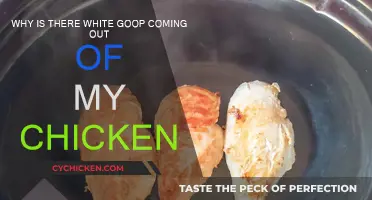 Chicken Oozing White Goop: What's the Deal?