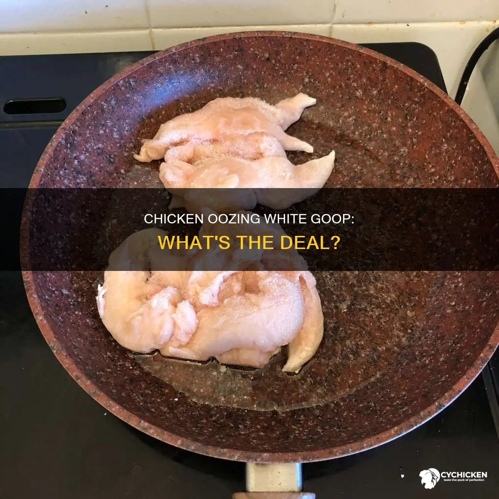 why is there white goop coming out of my chicken