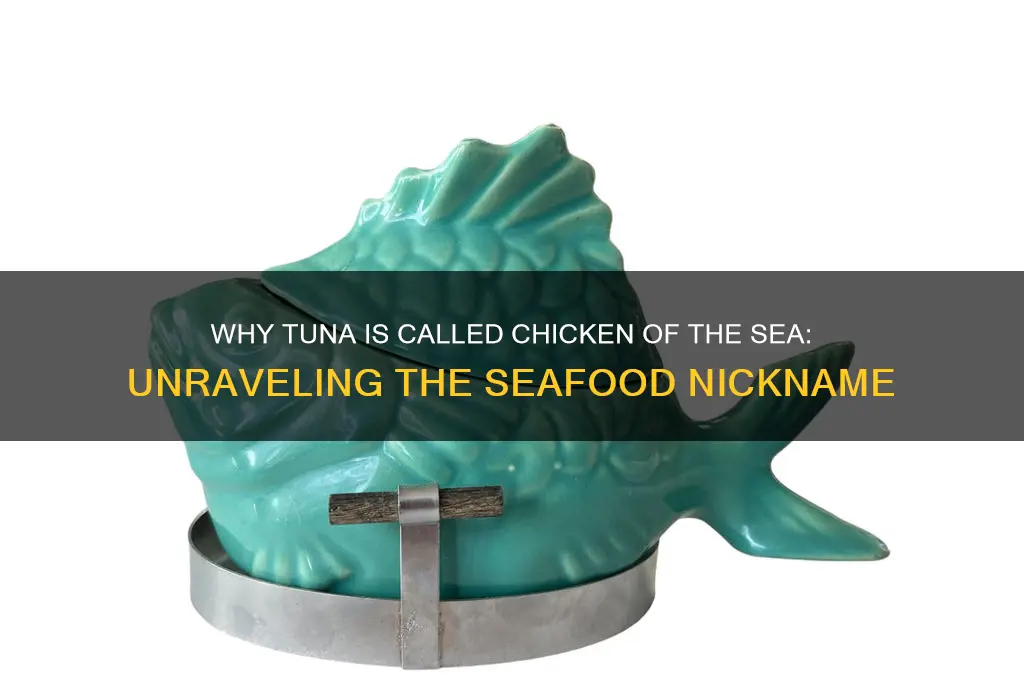 why is tuna called chicken of the sea