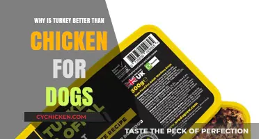 Turkey vs. Chicken: Why Turkey is the Superior Dog Food Choice