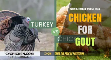 Turkey vs. Chicken: Which Worsens Gout Symptoms More?