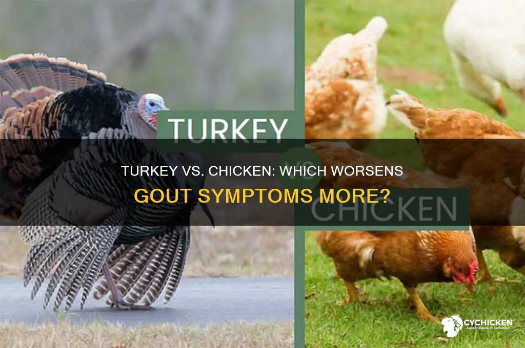 why is turkey worse than chicken for gout