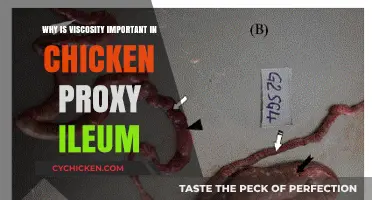 Viscosity's Role in Chicken Proxy Ileum Functionality and Health