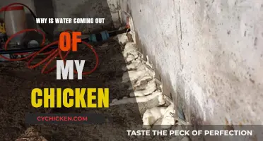 Why Is Water Coming Out of My Chicken? Explained