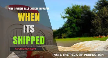 The Surprising Reason Your Wholesale Chicken Arrives in Water