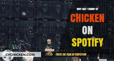 Why Bump of Chicken's Music Isn't Available on Spotify Yet