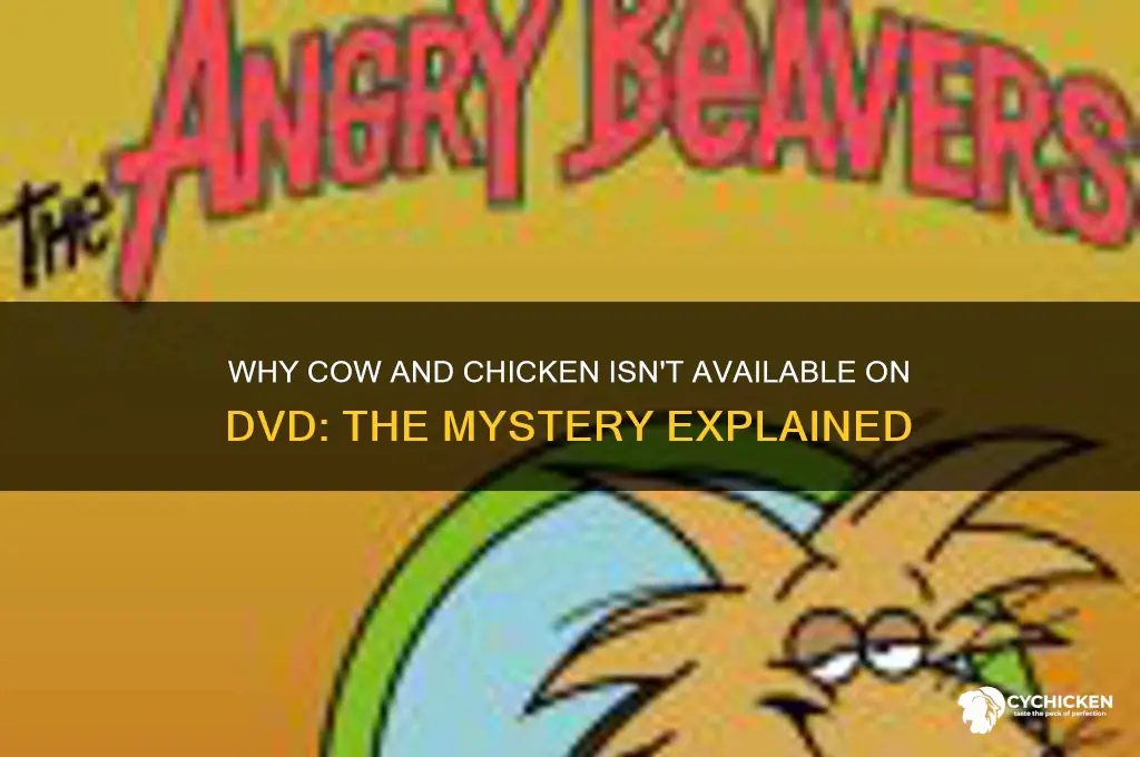 why isn