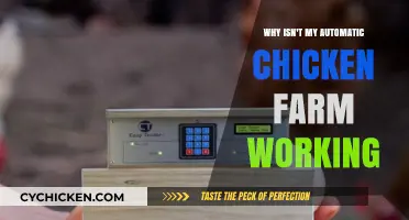 Troubleshooting Your Automatic Chicken Farm: Common Issues and Fixes