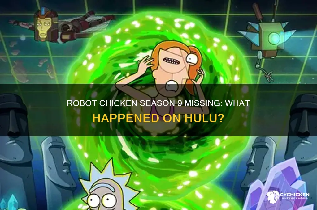 why isnt robot chicken season 9 on hulu