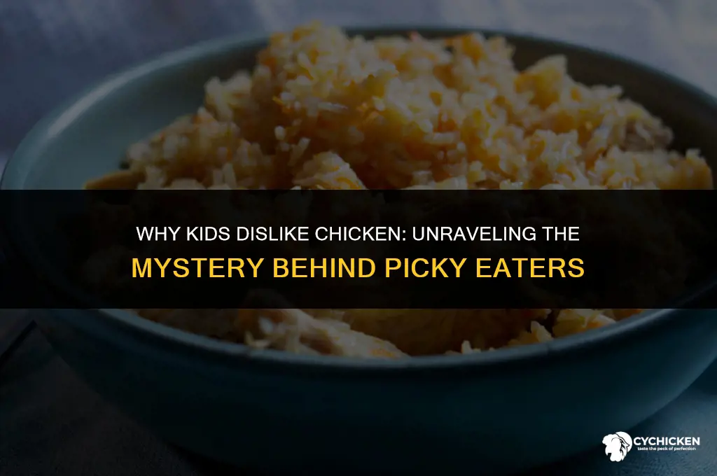 why kid doesnt like chicken