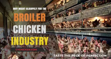 Why the Broiler Chicken Industry Operates as an Oligopoly