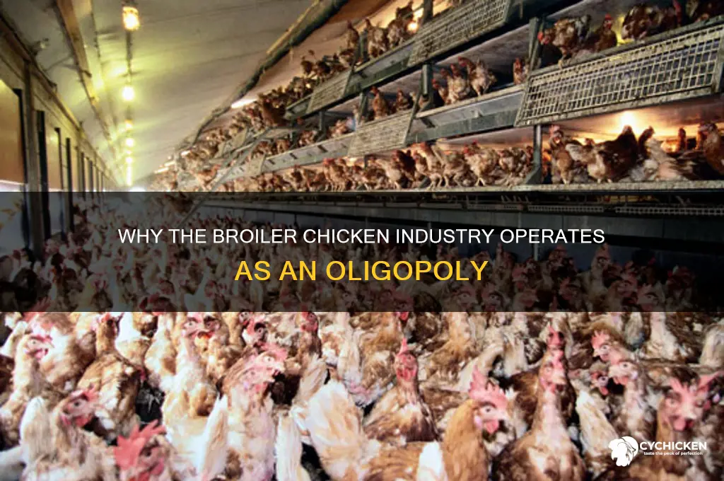 why might oligopoly for the broiler chicken industry