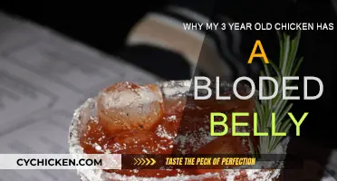 Chicken's Bloody Belly: What Could Be the Cause?