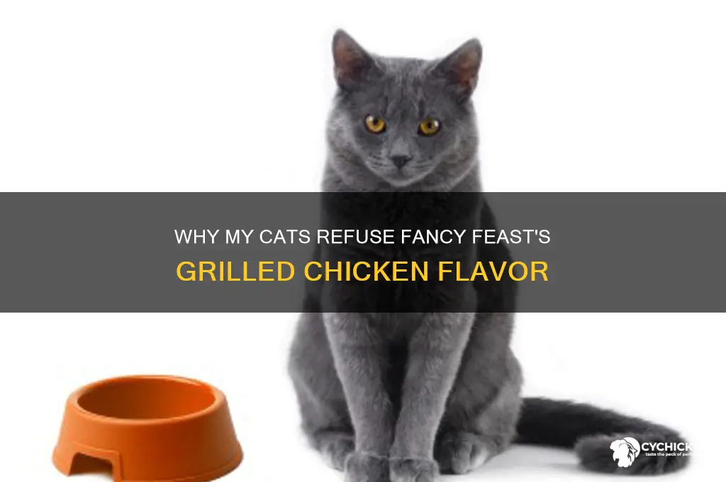 why my cats dontvlijevgrilled chicken from fancy feast