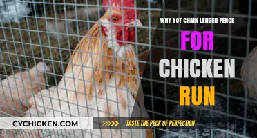 Avoid Chain Length Fences: Safer Alternatives for Your Chicken Run