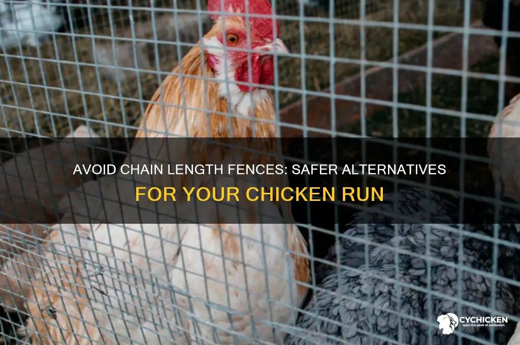 why not chain lengeh fence for chicken run