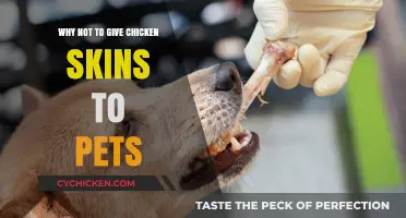 Avoid Chicken Skins: Hidden Dangers for Your Pet's Health
