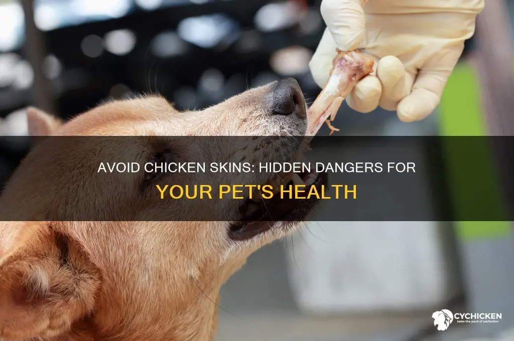 why not to give chicken skins to pets