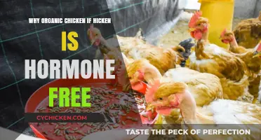 Organic Chicken Benefits: Beyond Hormone-Free, Why It’s Worth the Choice