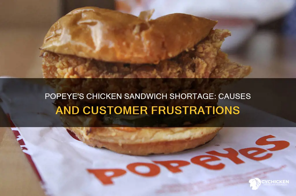 why popeye doesnt keep enough chicken sandwich