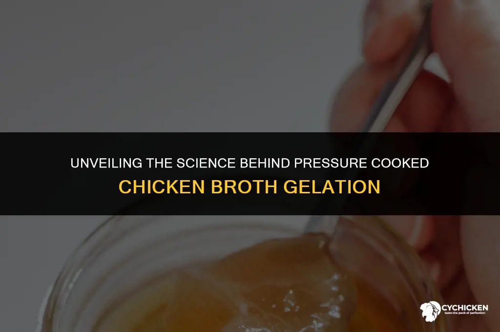 why pressure cooked chicken broth gel when cooled
