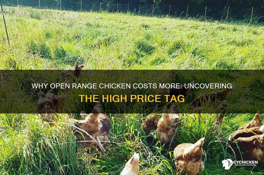 why price of open range chicken so high