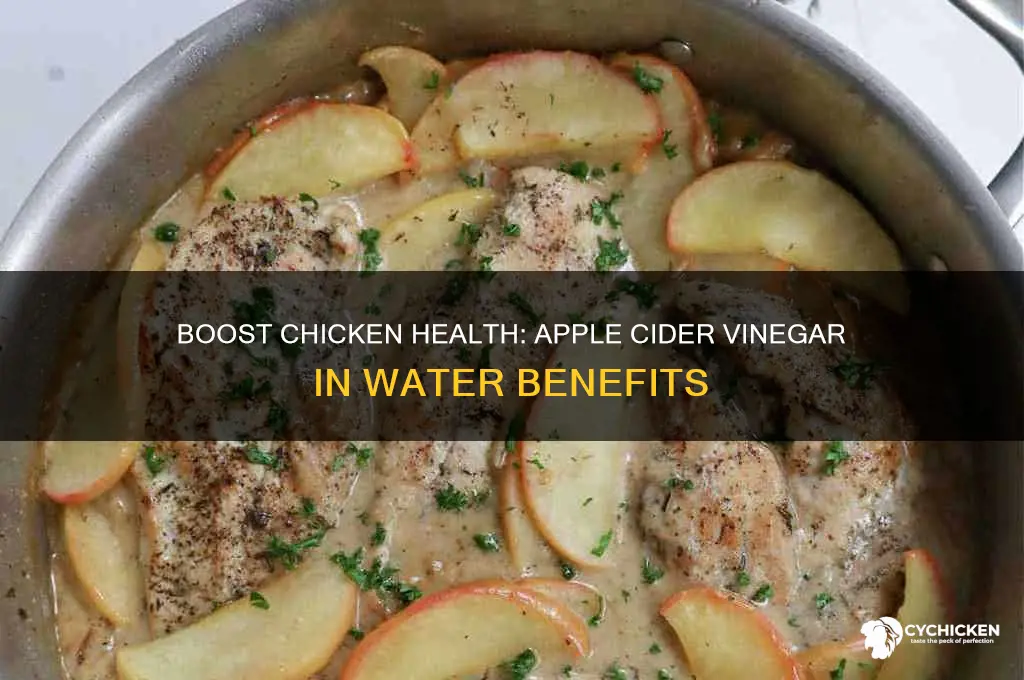 why put apple cider vinegar in chicken water