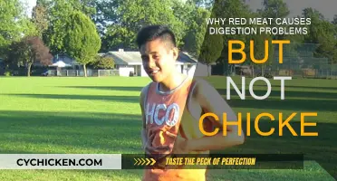 Red Meat and Digestion: Why Chicken Doesn't Cause Issues
