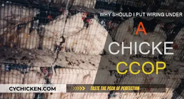 Protecting Your Coop: Why Bury Wiring?