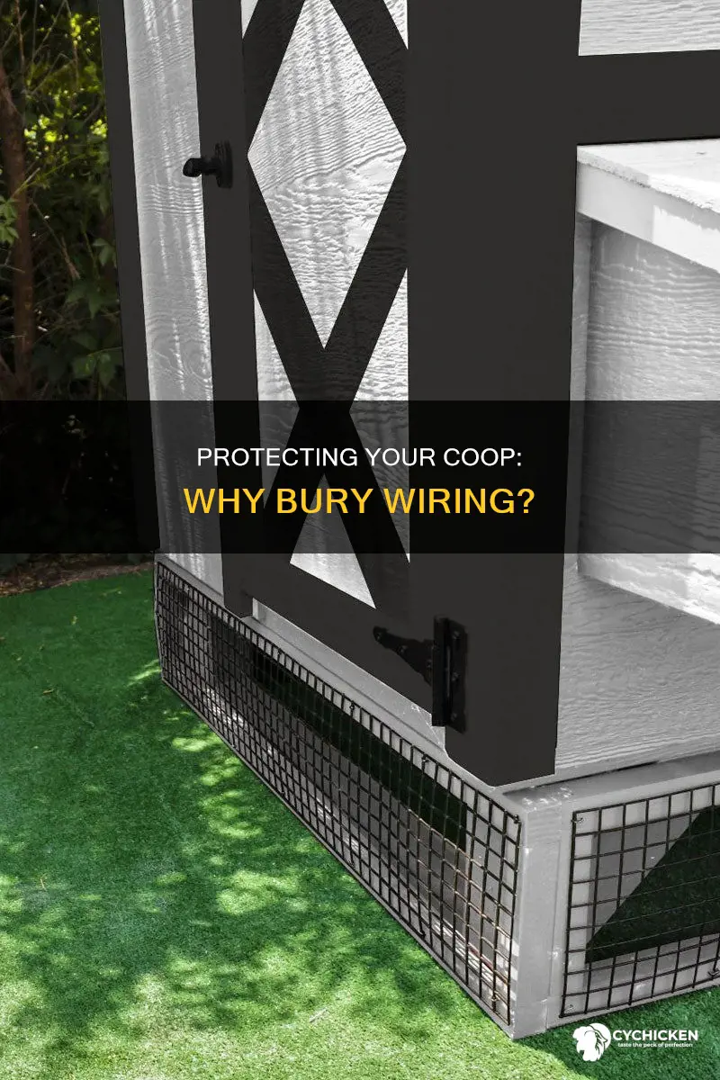 why should i put wiring under a chicken ccop