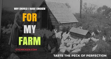 Raising Chickens: A Profitable, Sustainable Farm Addition for Beginners