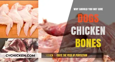 Avoid Chicken Bones: Protecting Your Dog's Health and Safety