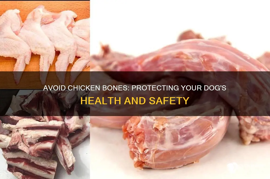 why should you not give dogs chicken bones