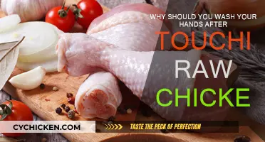Washing Hands After Chicken: Avoiding Food Poisoning