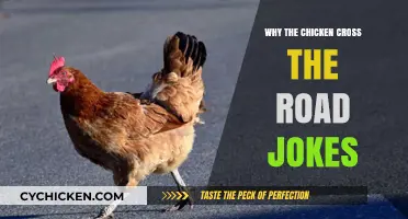 Why Did the Chicken Cross the Road? Unraveling the Timeless Joke