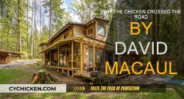 The Chicken's Journey: Why Cross the Road?