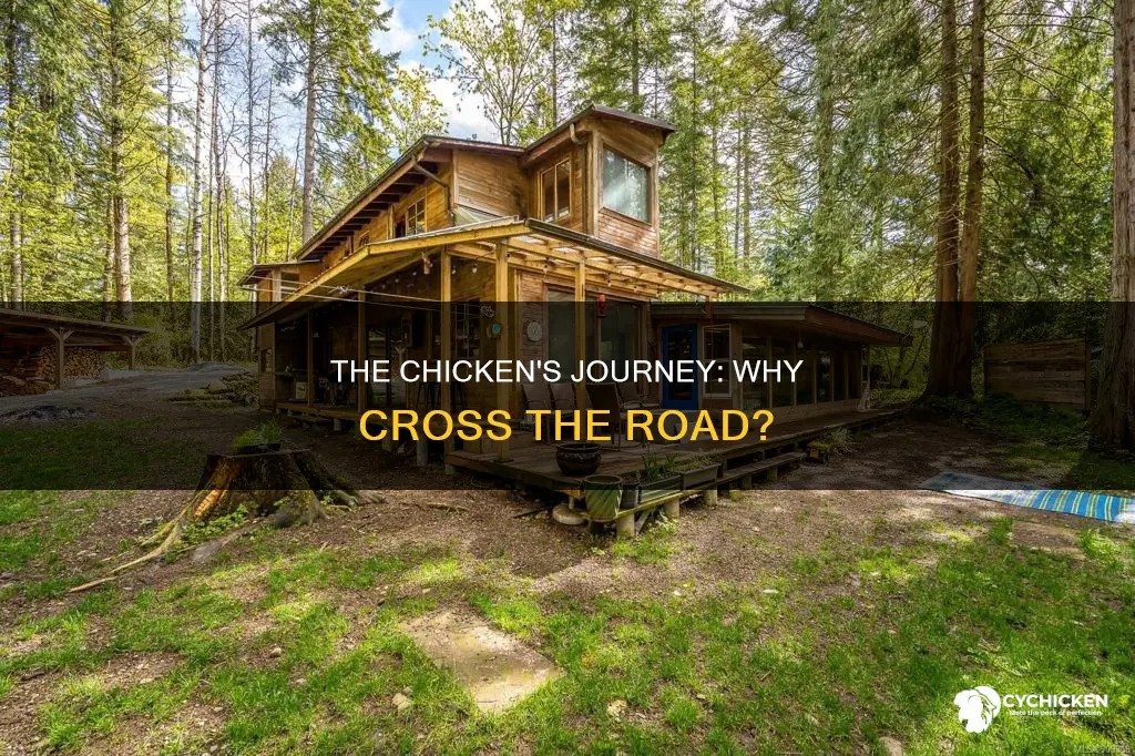 why the chicken crossed the road by david macaulay