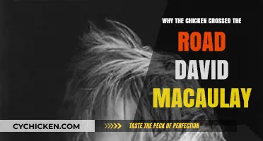 Why the Chicken Crossed the Road: David Macaulay's Insightful Take