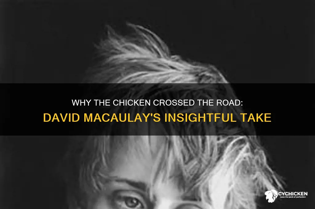 why the chicken crossed the road david macaulay
