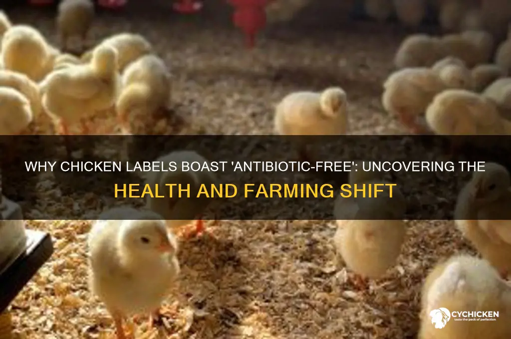 why the chicken has a sign antibiotic free