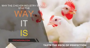 Chicken Industry: Why Change Isn't Necessary