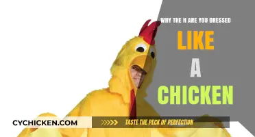 Why the H Are You Dressed Like a Chicken?
