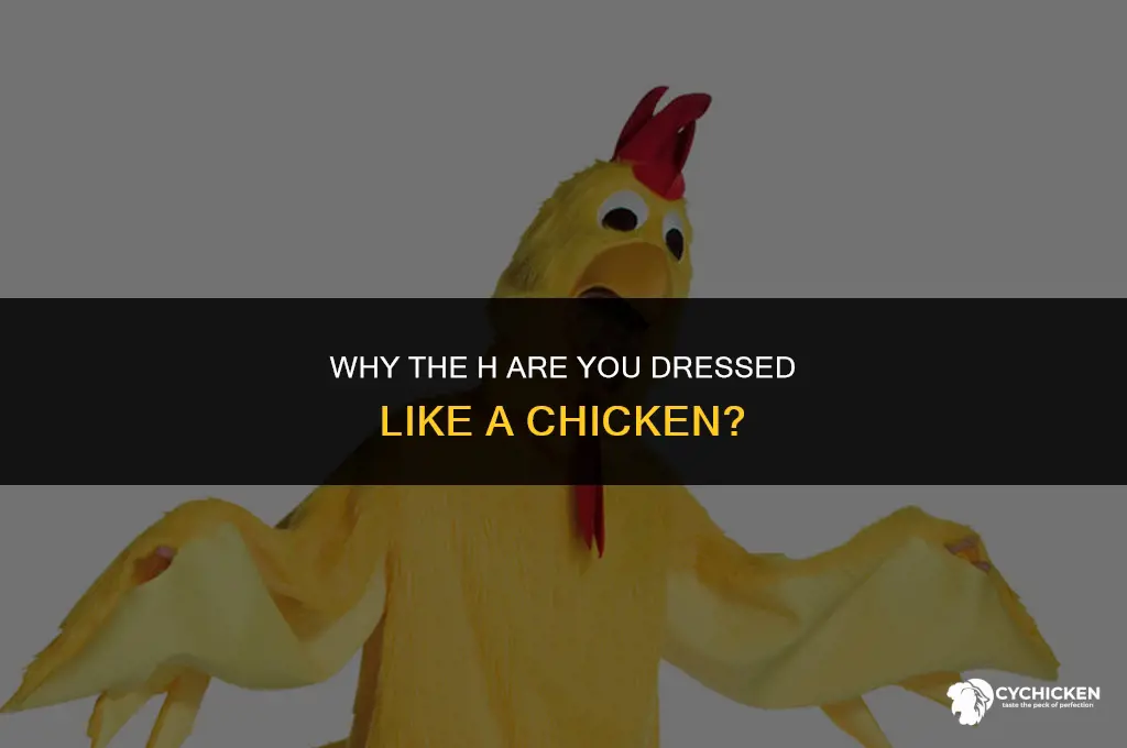 why the h are you dressed like a chicken