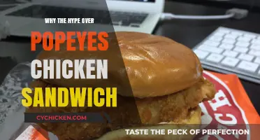 Popeyes Chicken Sandwich Craze: Unraveling the Phenomenon Behind the Hype