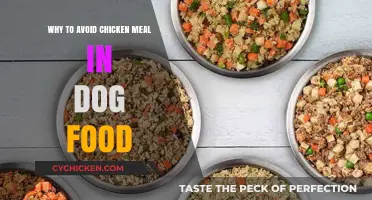 Skip Chicken Meal: Healthier Dog Food Alternatives Explained