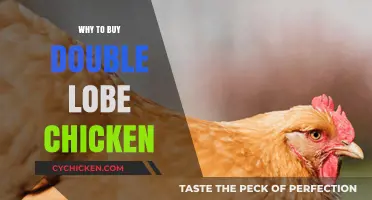 Discover the Benefits of Buying Double Lobe Chicken Today