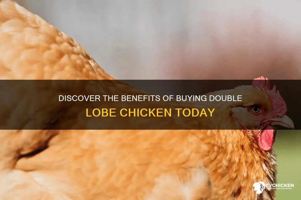 why to buy double lobe chicken