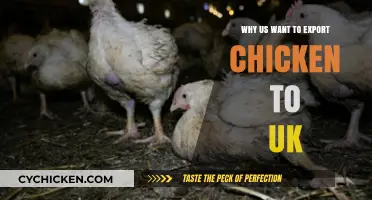 Exporting Chicken to the UK: Opportunities and Benefits for US Producers