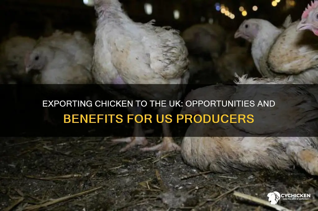 why us want to export chicken to uk